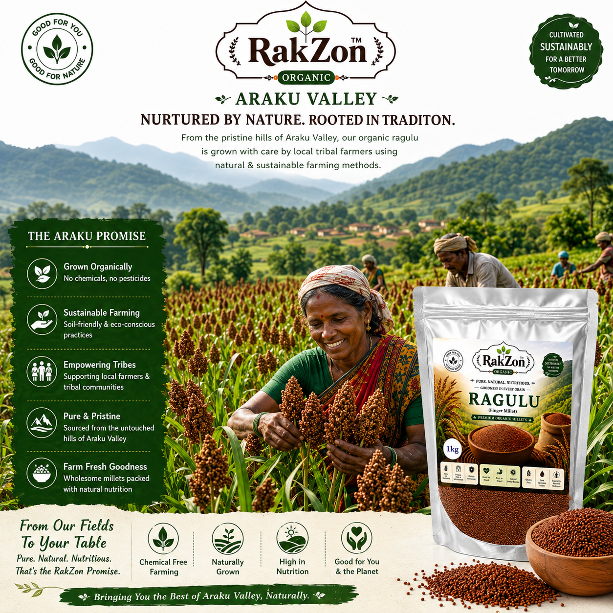 RakZon Organic Ragulu Millet 1Kg (Finger Millet / Ragi) from Araku Valley | Natural Unpolished Ragi Grain | Rich in Calcium, Fiber & Iron | Healthy Traditional Millet